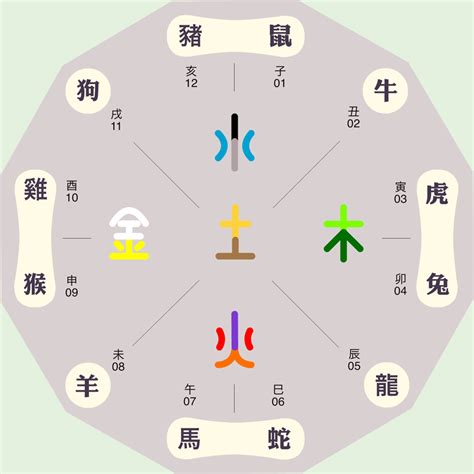 卯屬性|十二地支五行属性